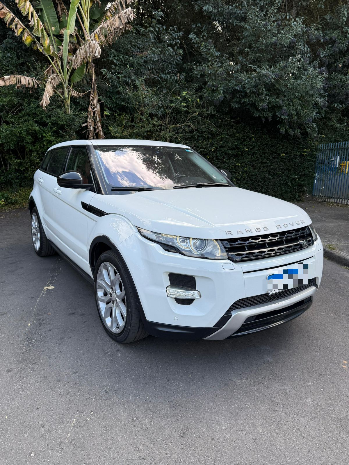 WhatsApp Image 2025-09-09 at 16.36.31 (1)