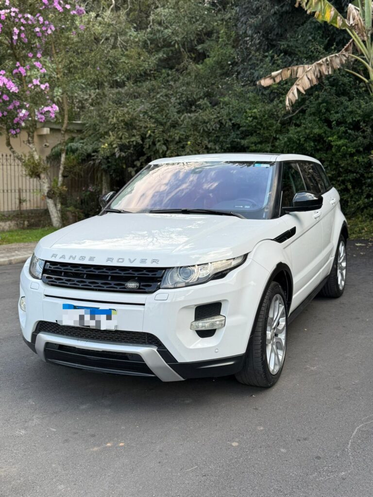 WhatsApp Image 2025-09-09 at 16.36.31